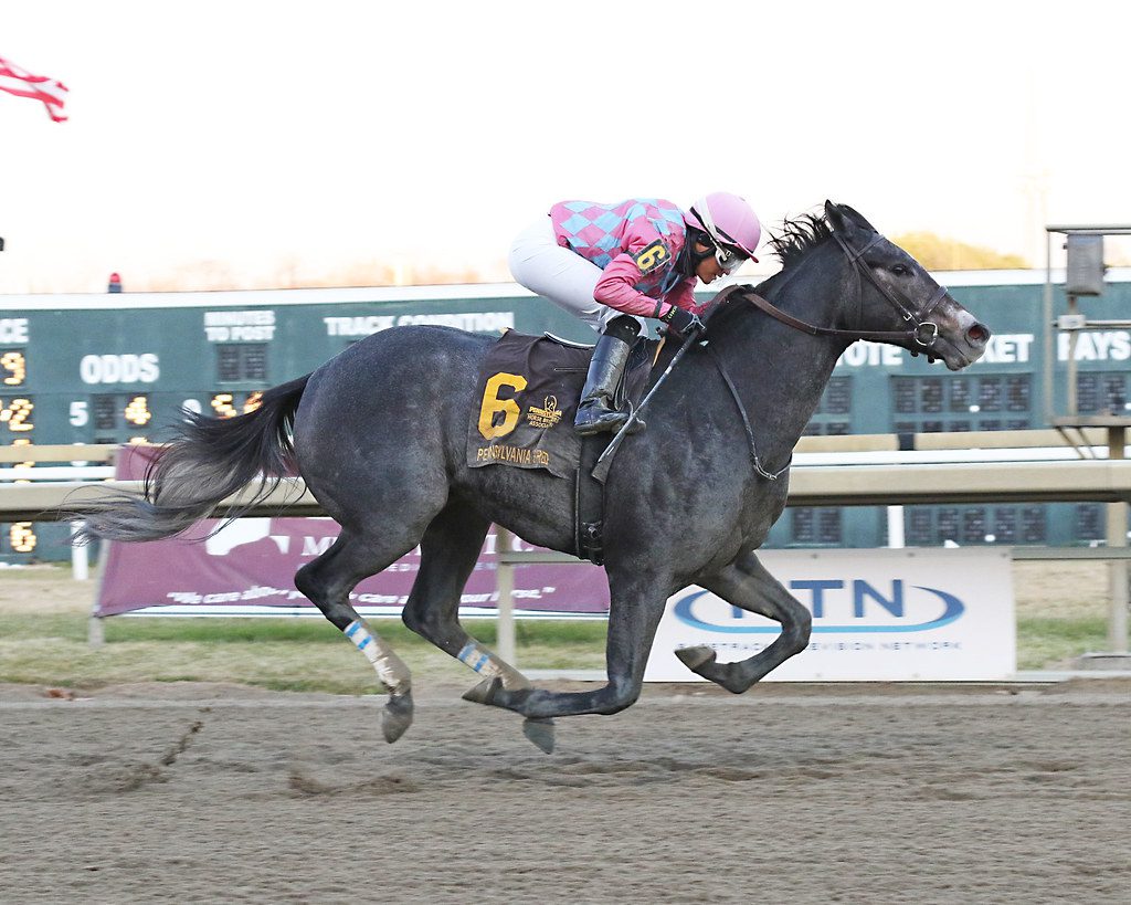 Witty cruised home much the best in the Pennsylvania Nursery Stakes. Photo by Barbara Weidl/EQUI-PHOTO.