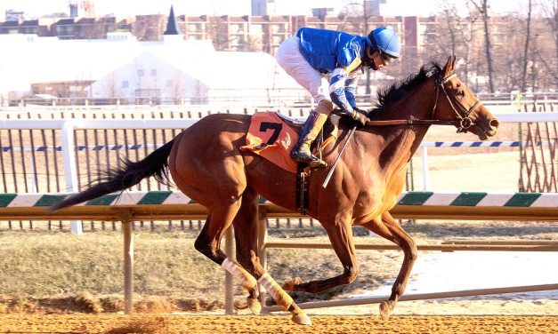 Victor Carrasco: “All about the right horse”