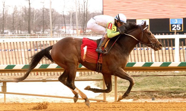 Taiba, Joe no go for Preakness