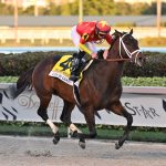Derby points update: Newgrange gets nothin’