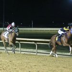 Jockey Club calls for EHV vaccine research
