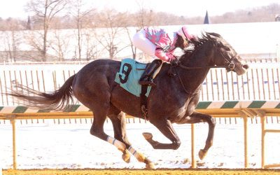 Witty seeks Ben’s Cat breakthrough