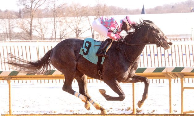 Witty seeks Ben’s Cat breakthrough