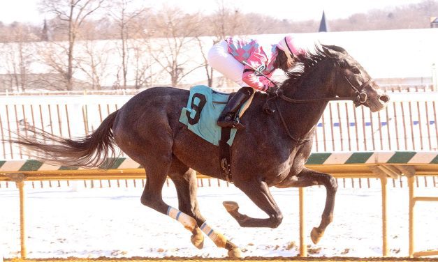 VIDEO: Laurel Park in :60 Feb. 1