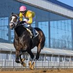 Veterans Magic Michael, Double Crown meet in Manfuso