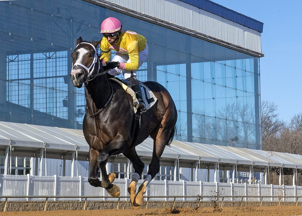 Wondrwherecraigis won the Fire Plug Stakes. Photo Jerry Dzierwinski.