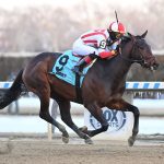 Adare Manor favored in wide-open Black-Eyed Susan