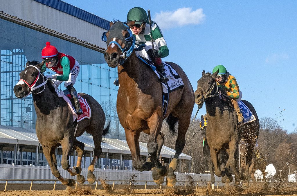 Glass Ceiling shatters Barbara Fritchie Stakes