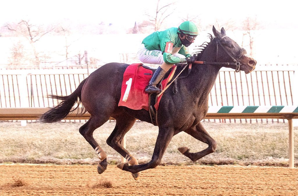 Luna Bella impresses in Wide Country score