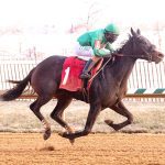 Private Terms quick hits: Wide-open affair