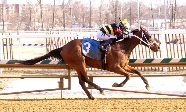 Laurel: Majestic Frontier surprises in allowance win