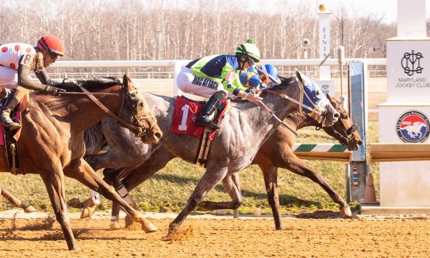 VIDEO: Laurel Park in 60 seconds: March 14