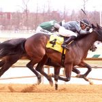 BackTracks: Hill Prince, the Meadow’s first champion