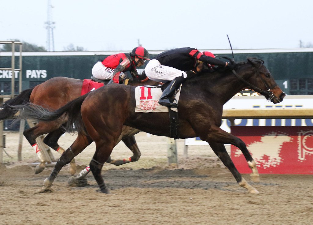 Hollywood Jet (#11) held off Sir Alfred James to win the Fishtown Stakes. Photo by Barbara Weidl/EQUI-PHOTO.