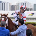 Over 600 cataloged for Fasig-Tipton May sale