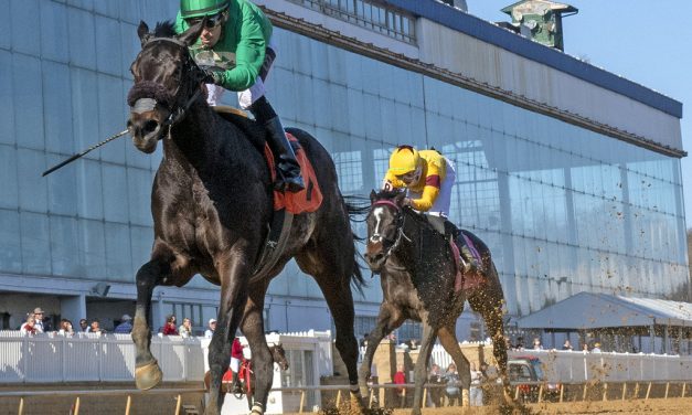 Luna Belle “bouncing around the shedrow” after big win