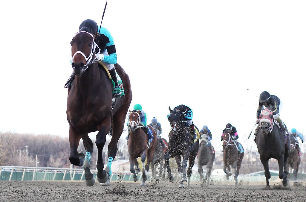 Scaramouche, Morning Matcha star in Parx stakes