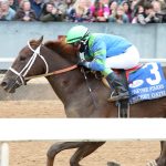 Judge tosses lawsuit challenging horseracing integrity act