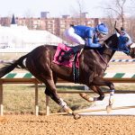MATCH Series to kick off April 16