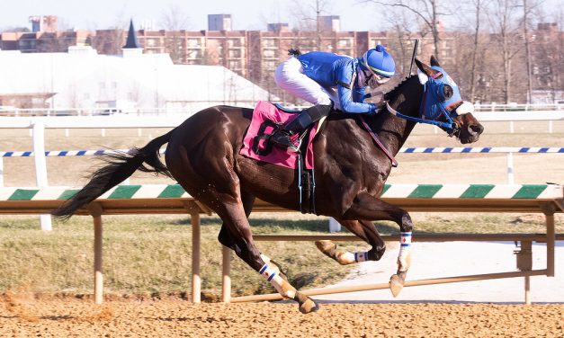 Shake Em Loose connex on fence for Preakness