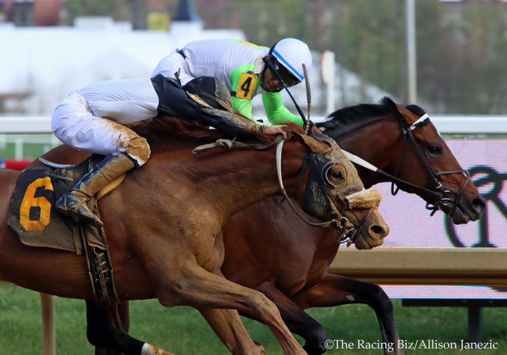 Joe (inside) held off stablemate Mr Jefferson to win the Federico Tesio Stakes at Laurel. Photo Allison Janezic.