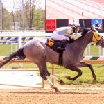 Gofundme launched for injured Md. racing official Steve Moyer