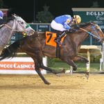 Grade 3 winner Laki retired