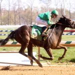 Parx picks and horses to watch: April 19