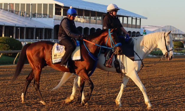 Preakness Profile: Simplification