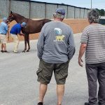 Fasig-Tipton