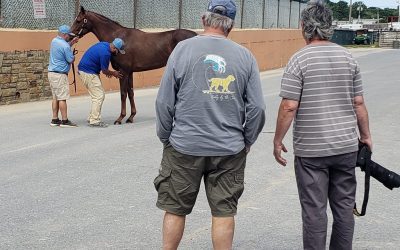 Fasig-Tipton fall yearling sale: By the numbers