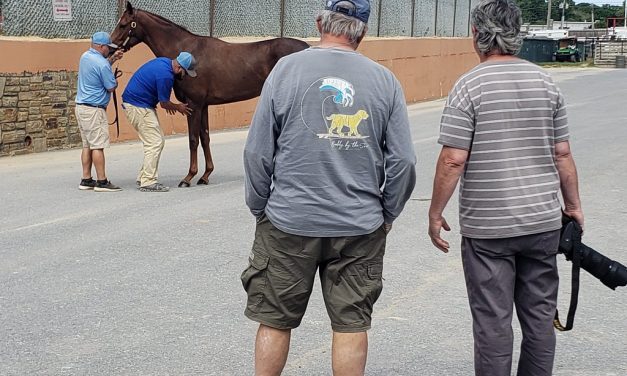 Fasig-Tipton 2yo sale has big catalog, high hopes