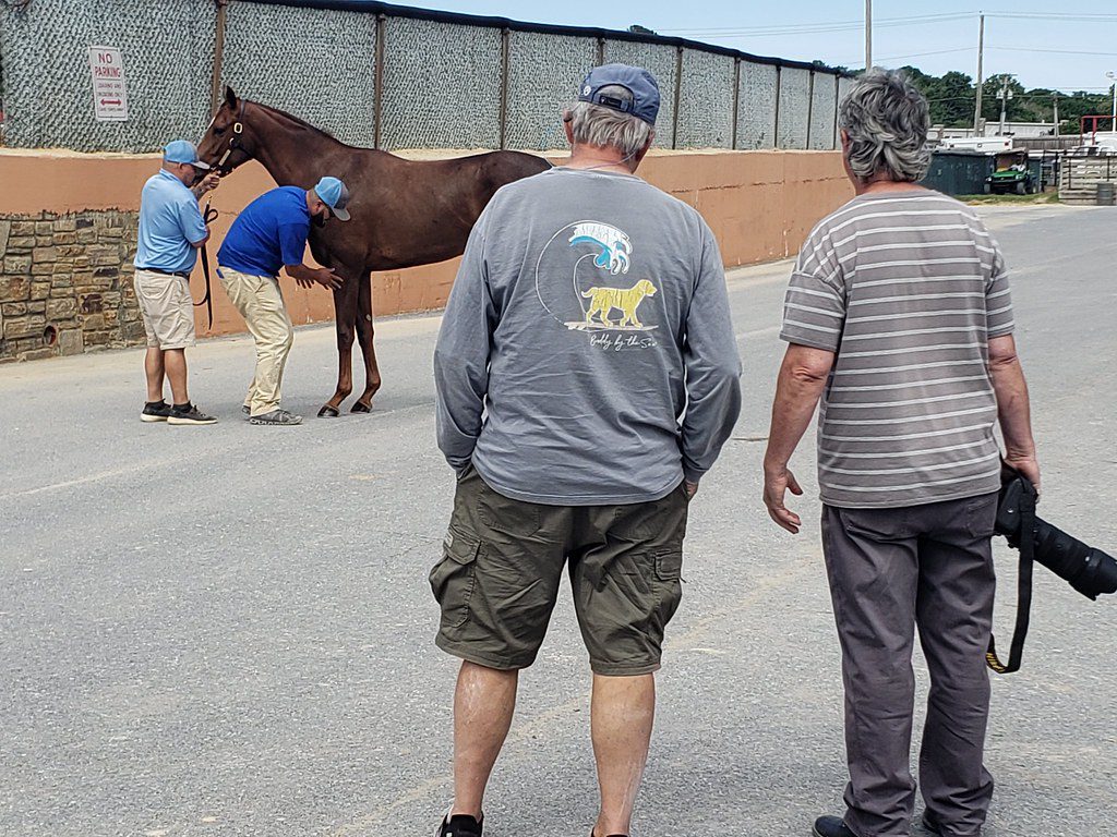 Inspection time at the Fasig-Tipton 2-year-old sale. Photo by The Racing Biz.