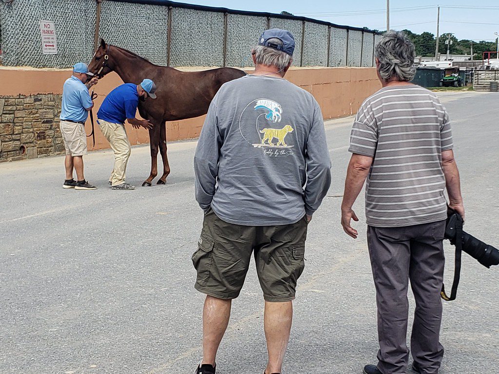 Fasig-Tipton