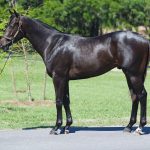 Preakness weekend’s top performers