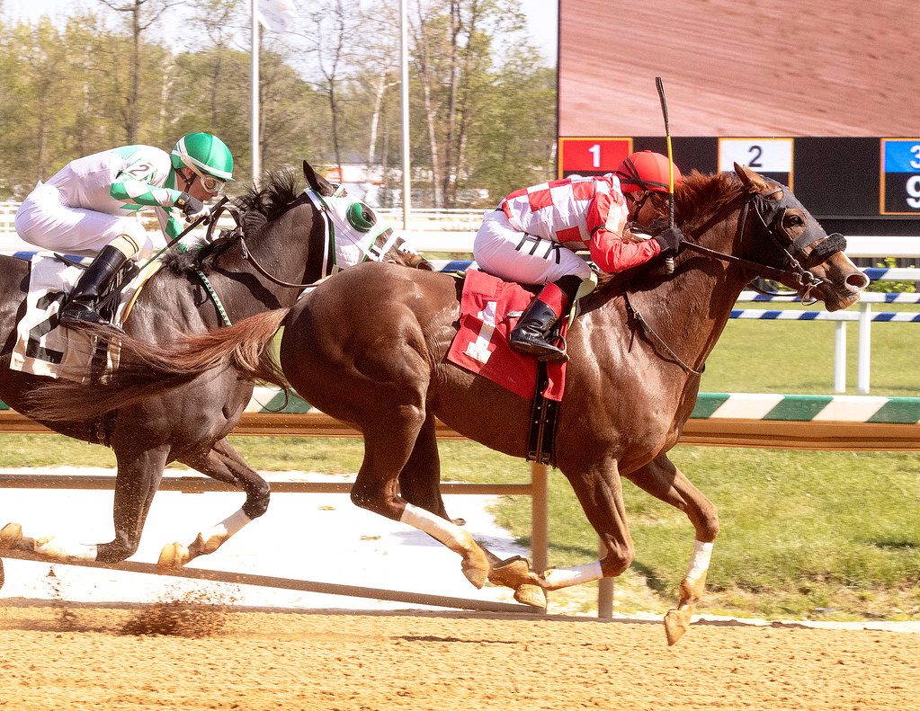 Going to the Lead won a Laurel Park allowance in April. Photo Jim McCue.