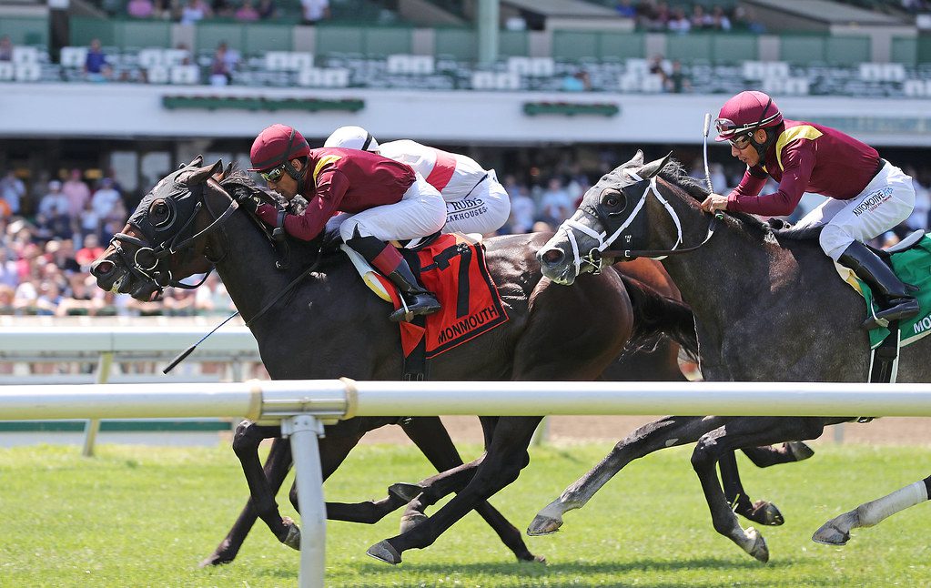 Fuerteventura scored in the Jersey Derby. Photo By Bill Denver/EQUI-PHOTO.