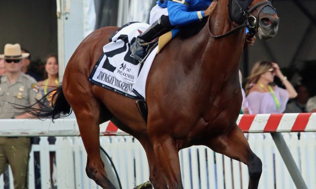 Experts’ Preakness Stakes undercard stakes picks