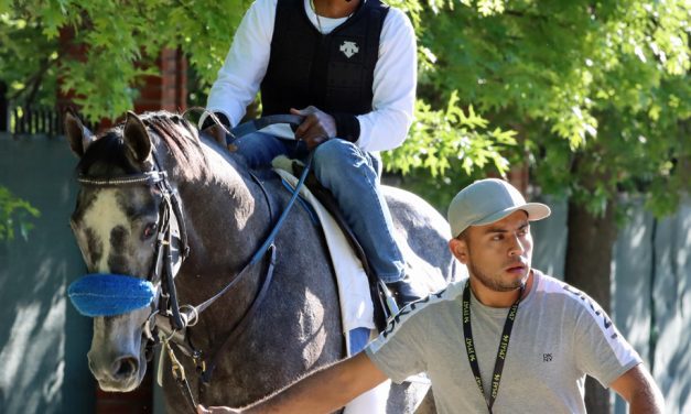 We the People installed as Belmont favorite