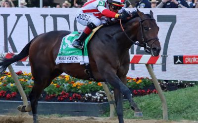 Perfect trip gives Early Voting a Preakness score