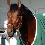 Parx picks and horses to watch: May 17