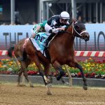 VIDEO: Handicapping the Black-Eyed Susan Stakes