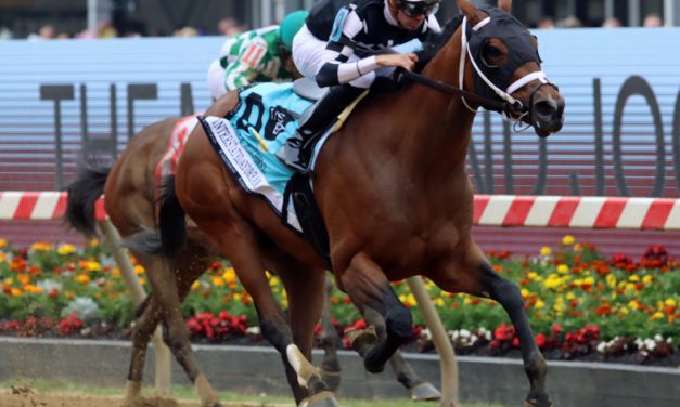 VIDEO: Handicapping the Black-Eyed Susan Stakes