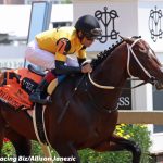 Gary Capuano to send out two in Carousel