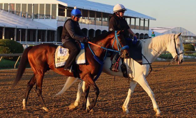 Preakness horse-by-horse analysis