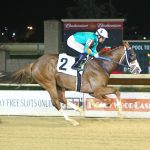 Pimlico picks and ponderings: May 29, 2022