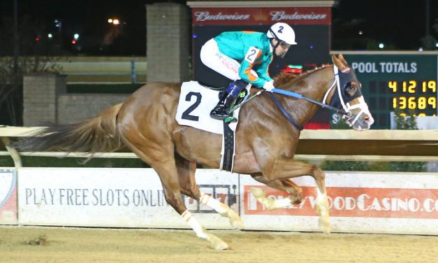 “Puppy dog” Bull Meechum riding 3-race win streak