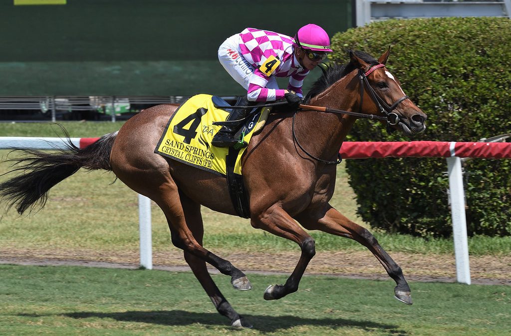 Gallorette: Motion hoping Crystal Cliffs set for big outing