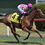 Ethereal Road among key Sir Barton contenders