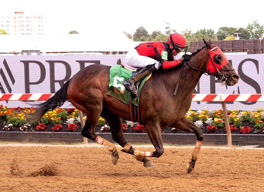 Eastern Bay won the featured allowance at Pimlico. Photo Jim McCue.